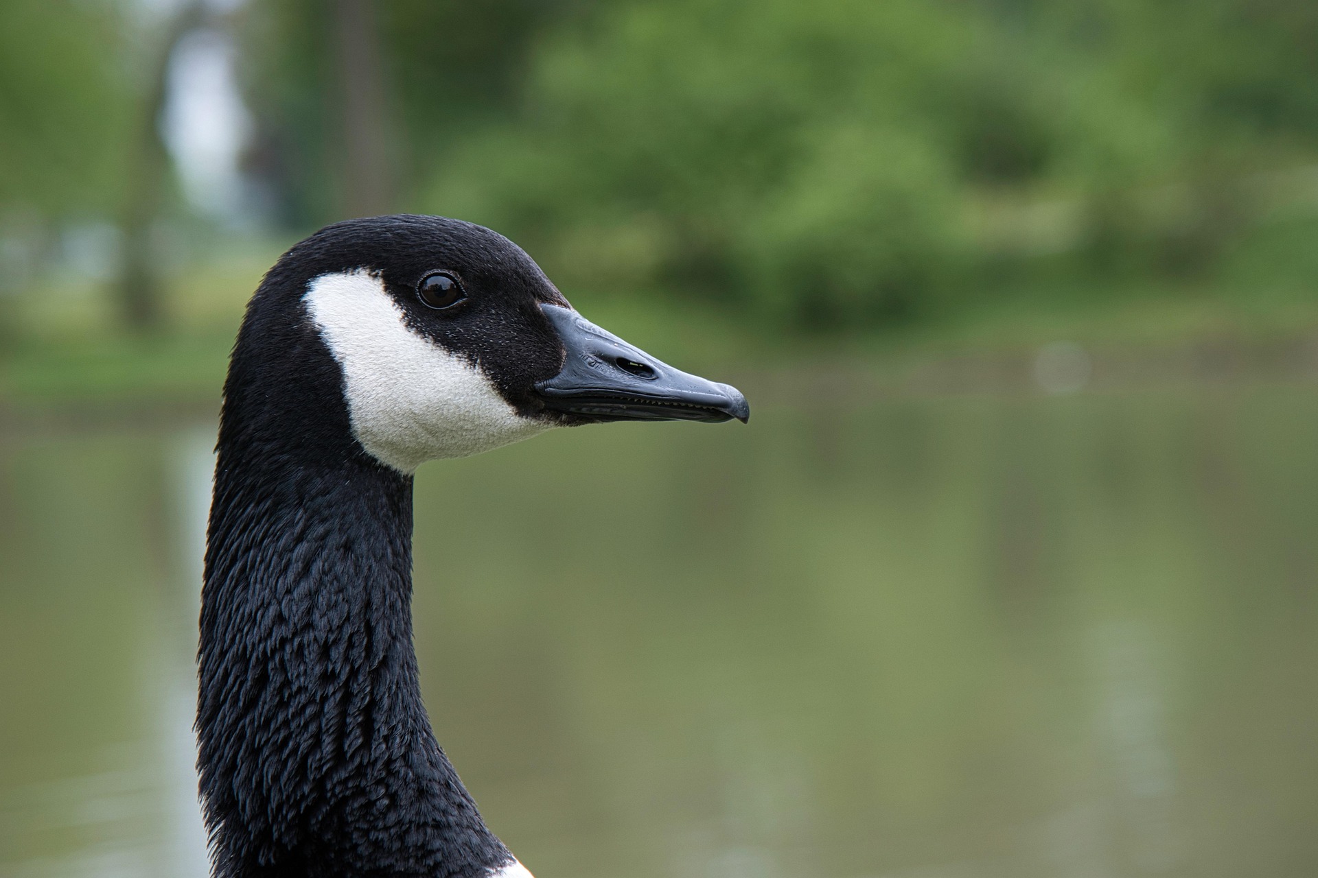 20.04.2026 | Kurpark Weiskirchen