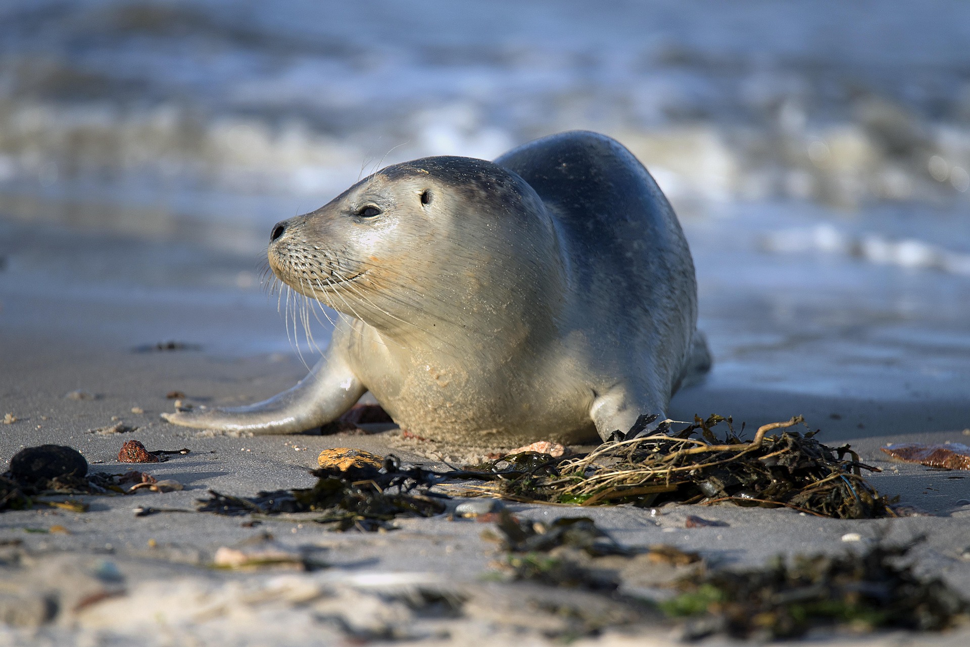 03.11.2025 | Nordsee 2025: Kleine Zeitreise