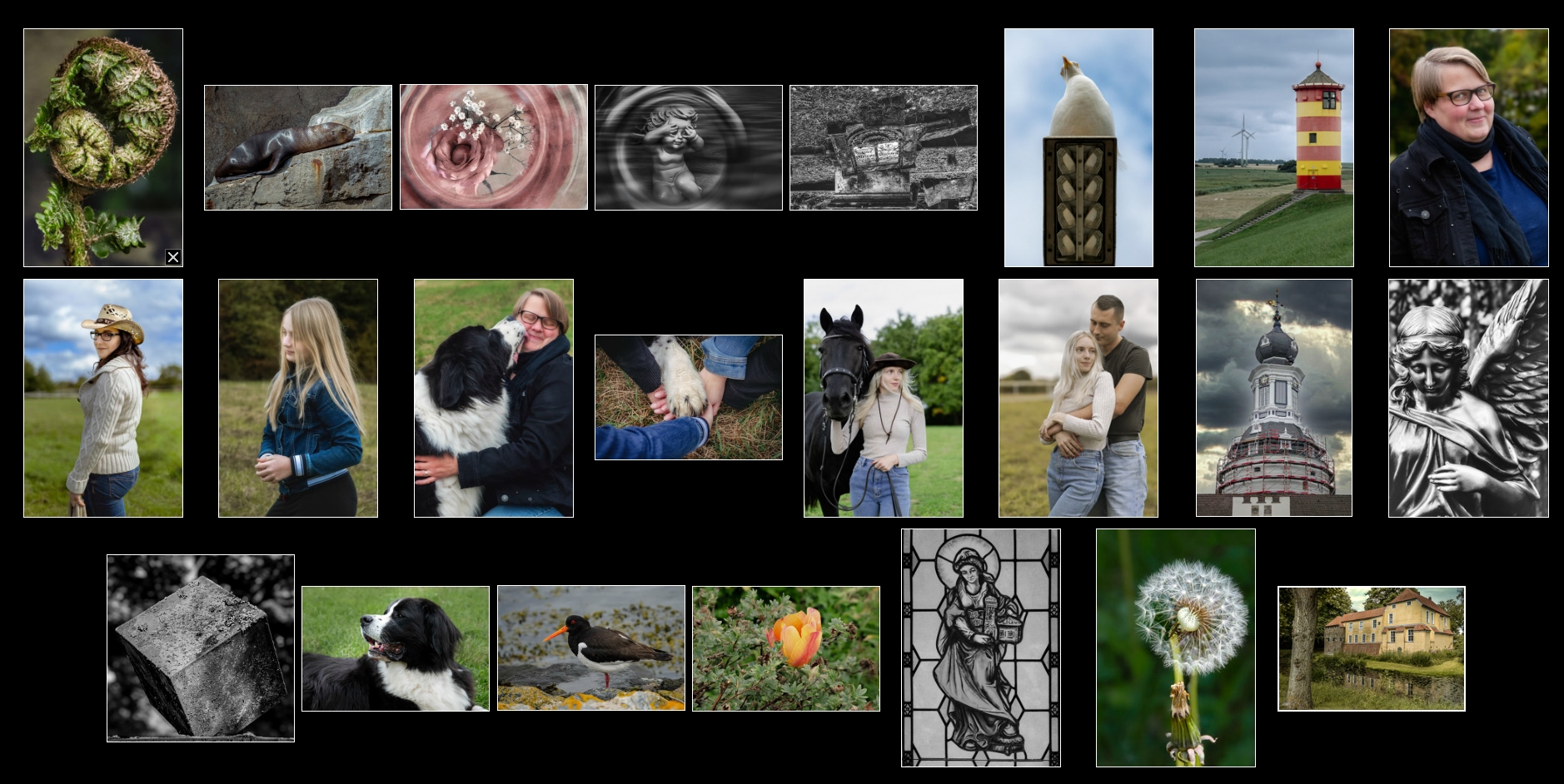 Collage aus Fotografien unterschiedlicher Genres, darunter Natur- und Makroaufnahmen, Tierfotografie, Porträts, Paar- und Mensch-Tier Momente, Architektur sowie Schwarz-Weiß Motive, die gemeinsam einen vielseitigen fotografischen Überblick zeigen