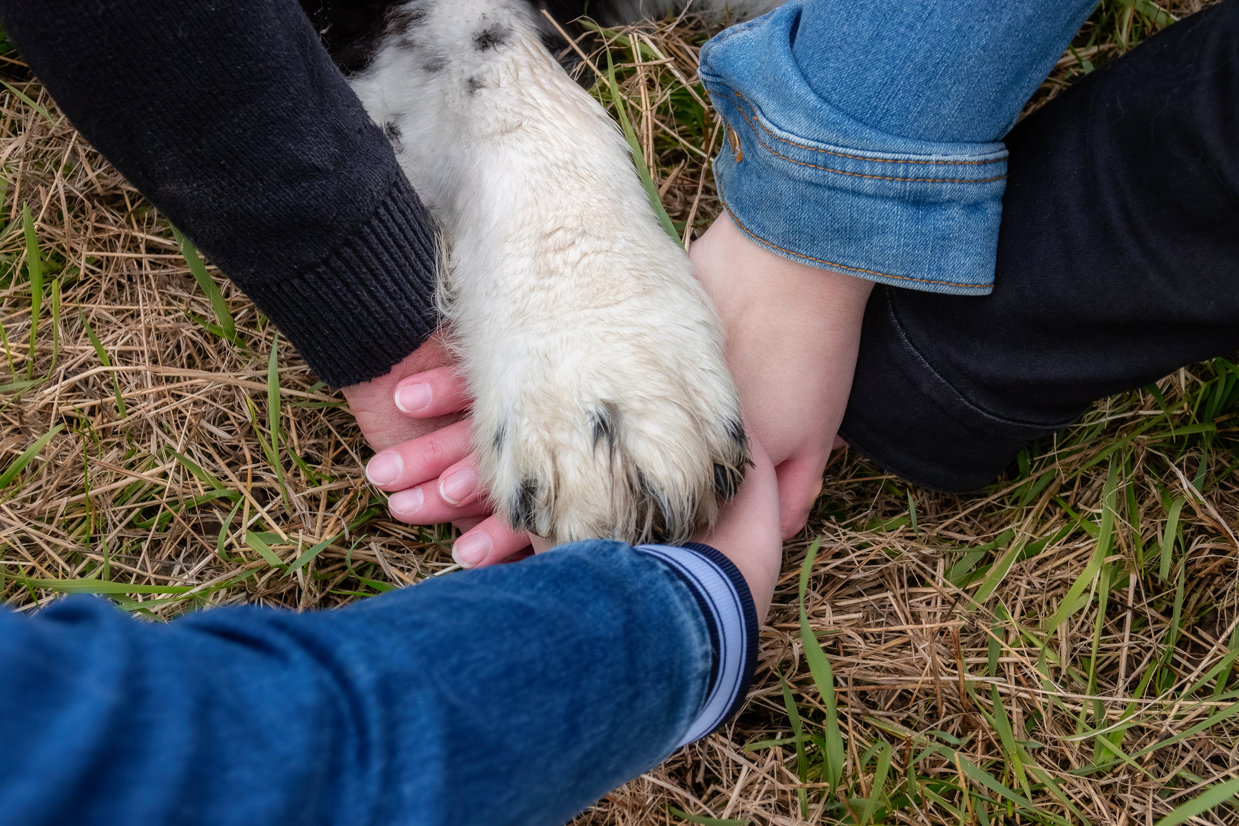 Sh fotografie saar familien shooting 1i
