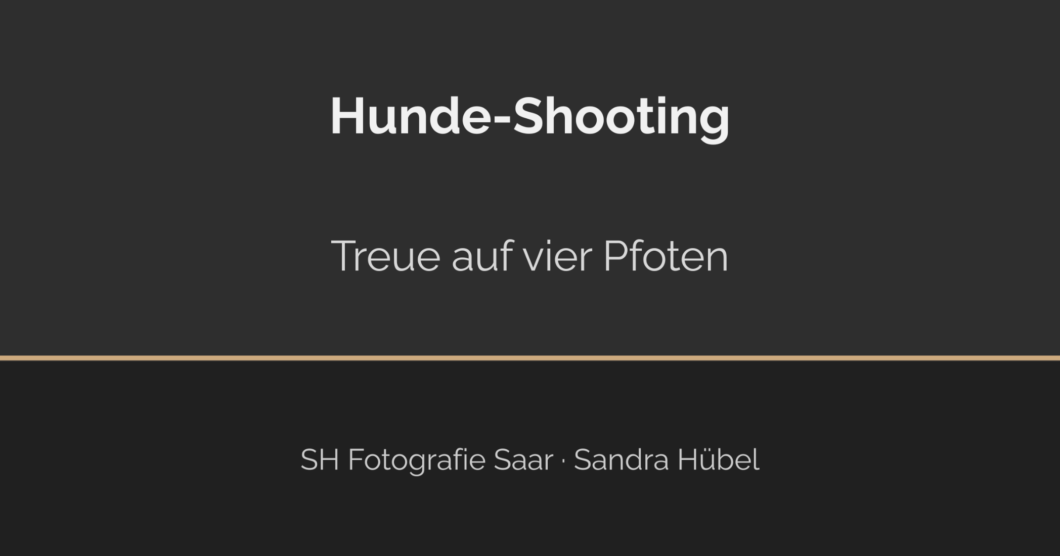 Treue Seele auf vier Pfoten